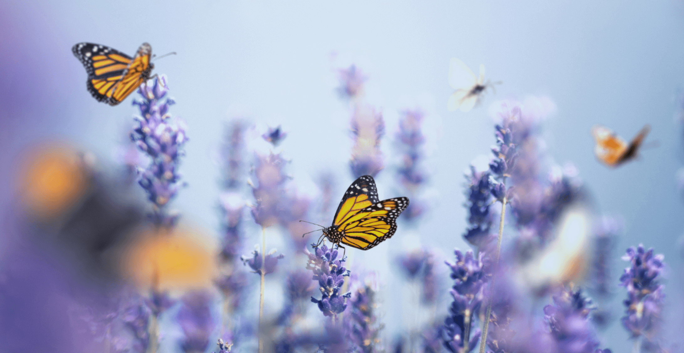 GettyImages-1206854775 (1) 1-1